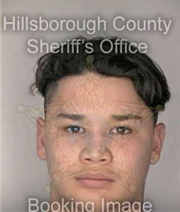 Dennis Perezfigueroa, - Hillsborough County, FL 