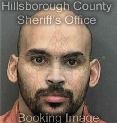 Alexander Rados, - Hillsborough County, FL 