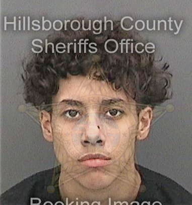 Davbreon Richardson, - Hillsborough County, FL 