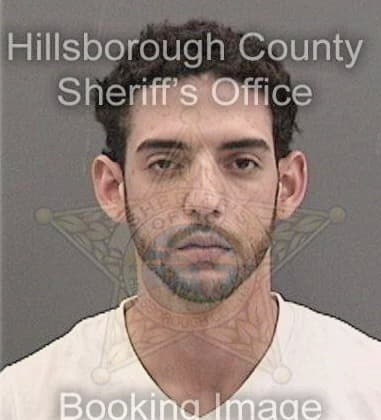 Gregory Roberts - Hillsborough County, FL 