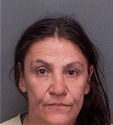 Gina McClure - Pinellas County, FL 