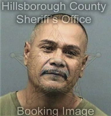 Rois Melendez - Hillsborough County, FL 