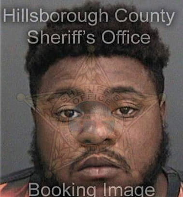 Alvin Williams - Hillsborough County, FL 
