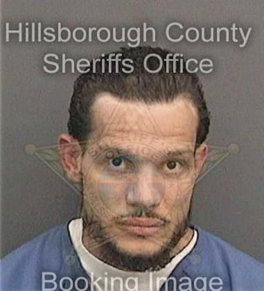 Tyrone David, - Hillsborough County, FL 