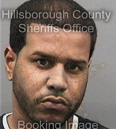 Dirk Davis, - Hillsborough County, FL 