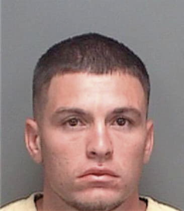 Gonzalo Delossantos, - Pinellas County, FL 