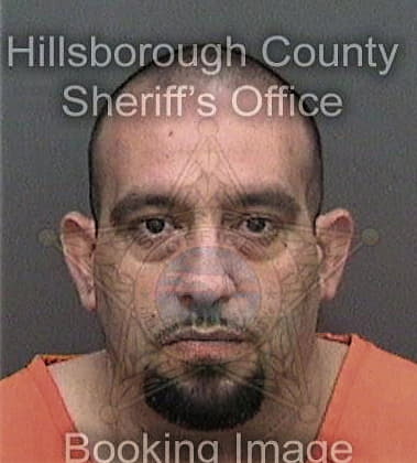 Harvey Laursen, - Hillsborough County, FL 