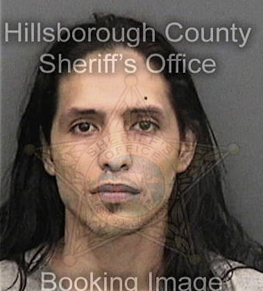 Michael Martin, - Hillsborough County, FL 