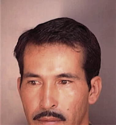 Neal Melson - Polk County, FL 