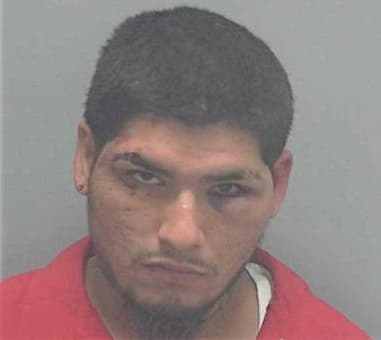 Luis Ortiz, - Lee County, FL 