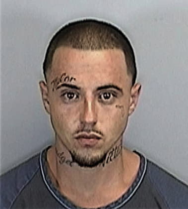 Joshua Starling, - Manatee County, FL 