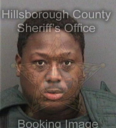 Ronald Sturgis, - Hillsborough County, FL 