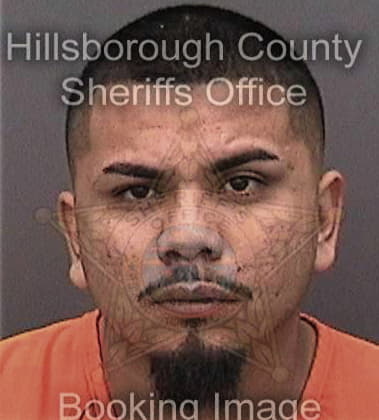 Joshua Timke, - Hillsborough County, FL 