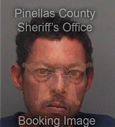 Greg Wright, - Pinellas County, FL 