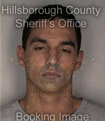 Mario Zapata, - Hillsborough County, FL 