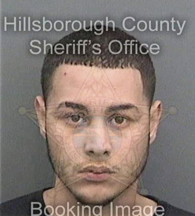 Jose Cruzcastillo, - Hillsborough County, FL 