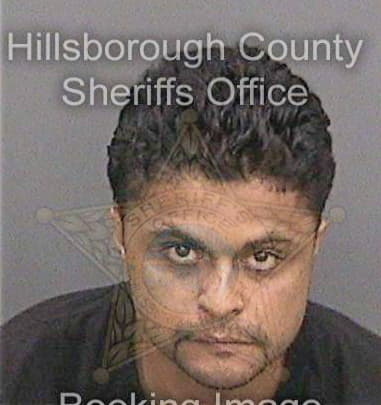 Ulmar Hernandezdiaz - Hillsborough County, FL 