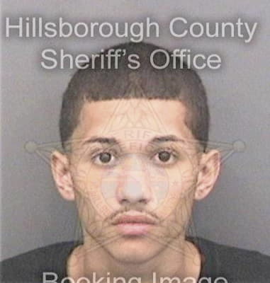 Jorge Liconaavila, - Hillsborough County, FL 