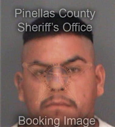 Leroy Martinez, - Pinellas County, FL 