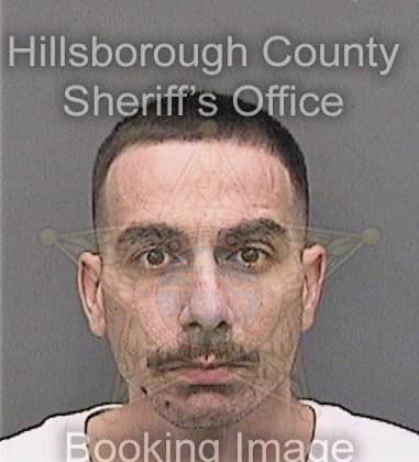 Darryn Rees, - Hillsborough County, FL 