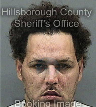 Elvis Riveratorres - Hillsborough County, FL 