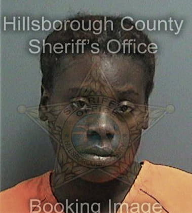 Tameka Robinson, - Hillsborough County, FL 