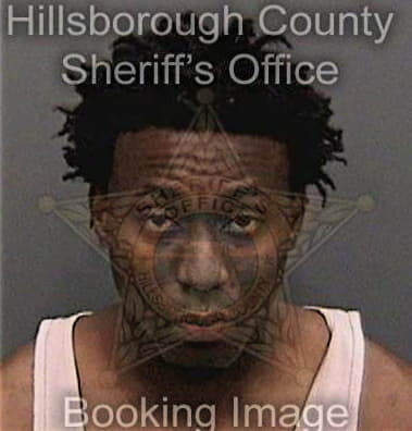 Gino Wilson, - Hillsborough County, FL 