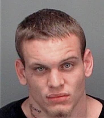 William Dujsik, - Pinellas County, FL 