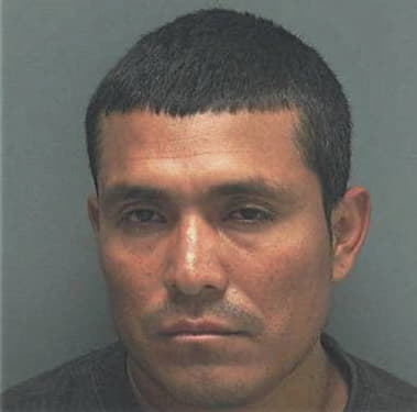 Ismael Gonzalez, - Lee County, FL 