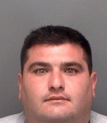 Timothy Johnson, - Pinellas County, FL 