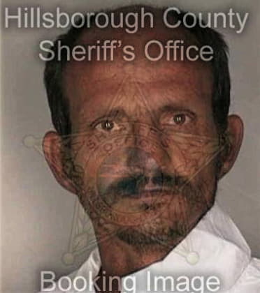 Honorio Mendez - Hillsborough County, FL 