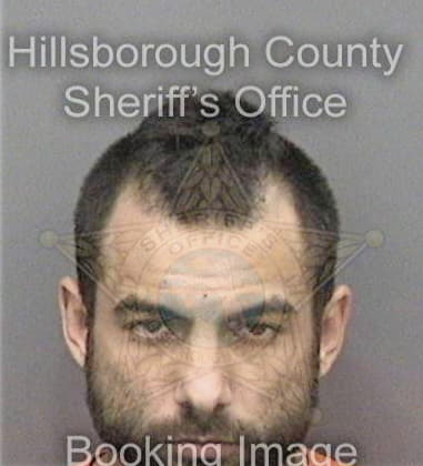 Brian Mertely - Hillsborough County, FL 