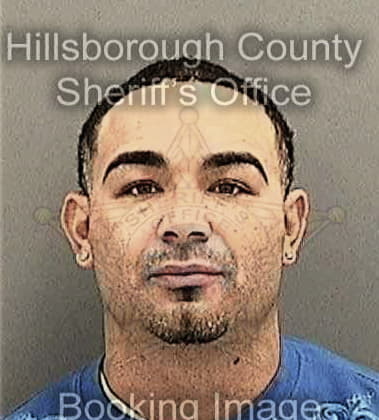 Jaime Navarreteguerreo, - Hillsborough County, FL 