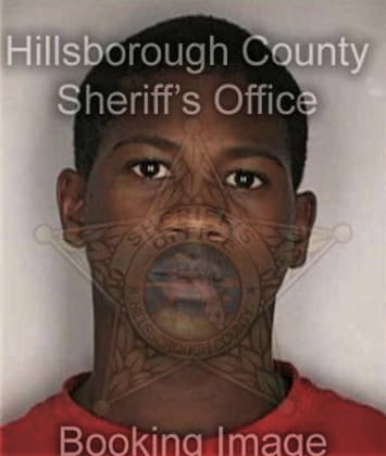 Demetrious Wilson, - Hillsborough County, FL 