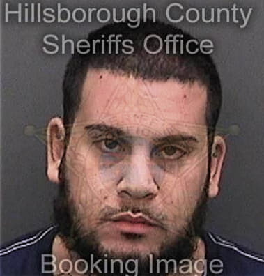 Alberto Diazfelicie, - Hillsborough County, FL 