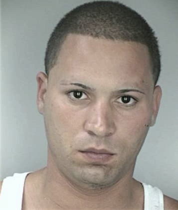 Amilcar Medina - Hillsborough County, FL 