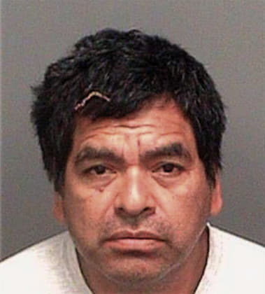 Ramon Santiagoochoa, - Pinellas County, FL 