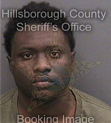 Peter Augustin, - Hillsborough County, FL 