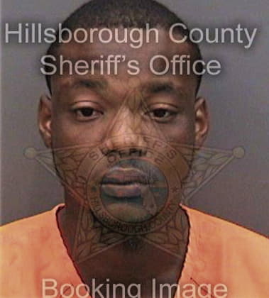 Daryl Bowman - Hillsborough County, FL 