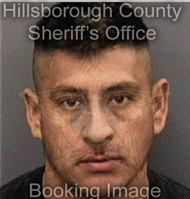 Juan Cruzflores, - Hillsborough County, FL 