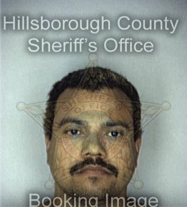 Jesus Diaz, - Hillsborough County, FL 