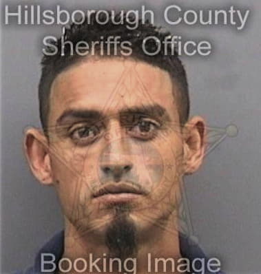 Hector Pachecoperez, - Hillsborough County, FL 