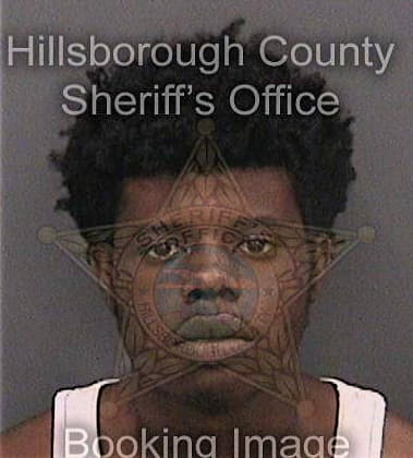 David Robinson - Hillsborough County, FL 