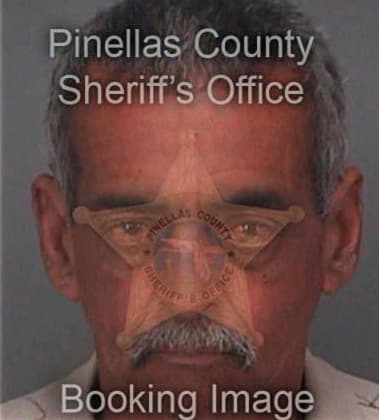 Alexis Arcebaez, - Pinellas County, FL 