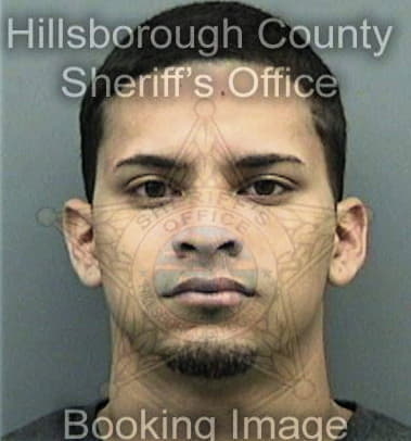 Douglas Brue, - Hillsborough County, FL 