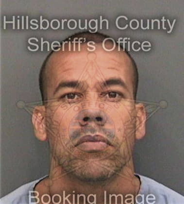 Curtis Craig, - Hillsborough County, FL 