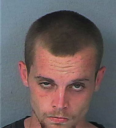 Anthony Flugel, - Hernando County, FL 