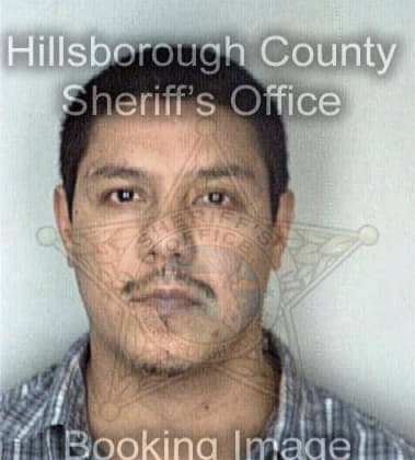 Joshua Freiesleben, - Hillsborough County, FL 