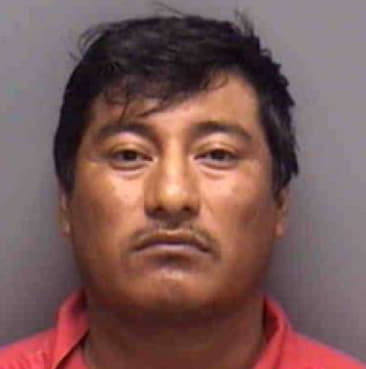 Angel Gonzalez, - Lee County, FL 