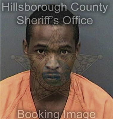 Hashec Lewis, - Hillsborough County, FL 